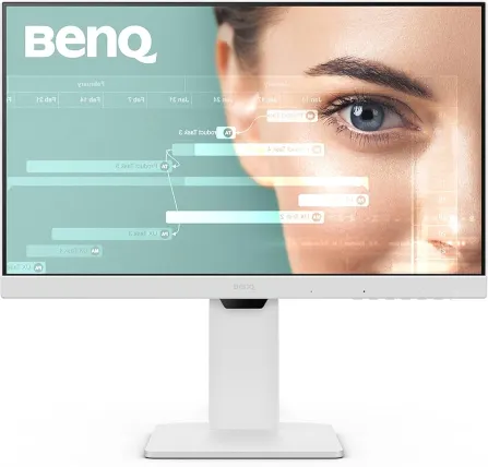 BenQ GL2480 Monitors
