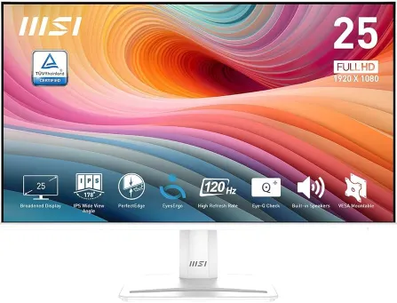 MSI MAG251RX Monitors