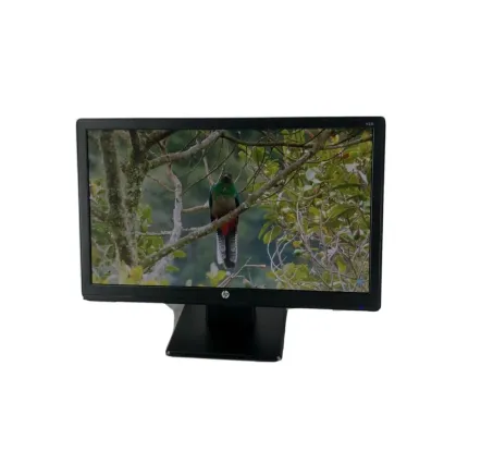 HP V221 Monitors