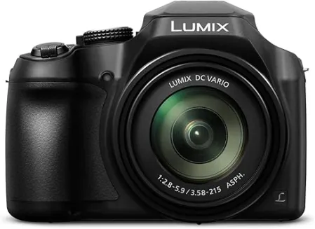 Panasonic LUMIX FZ80 Digital Cameras