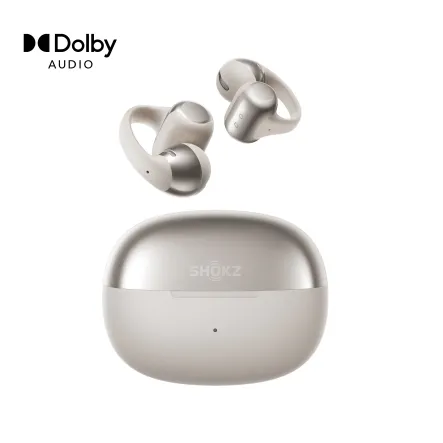Shokz E310-ST-GY-US Headphones & Earbuds 
