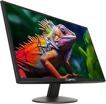 Sceptre E248W Monitors