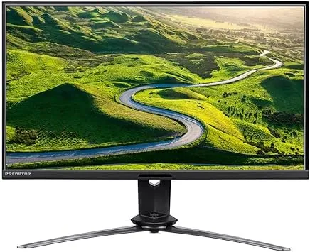 Acer X28 Monitors
